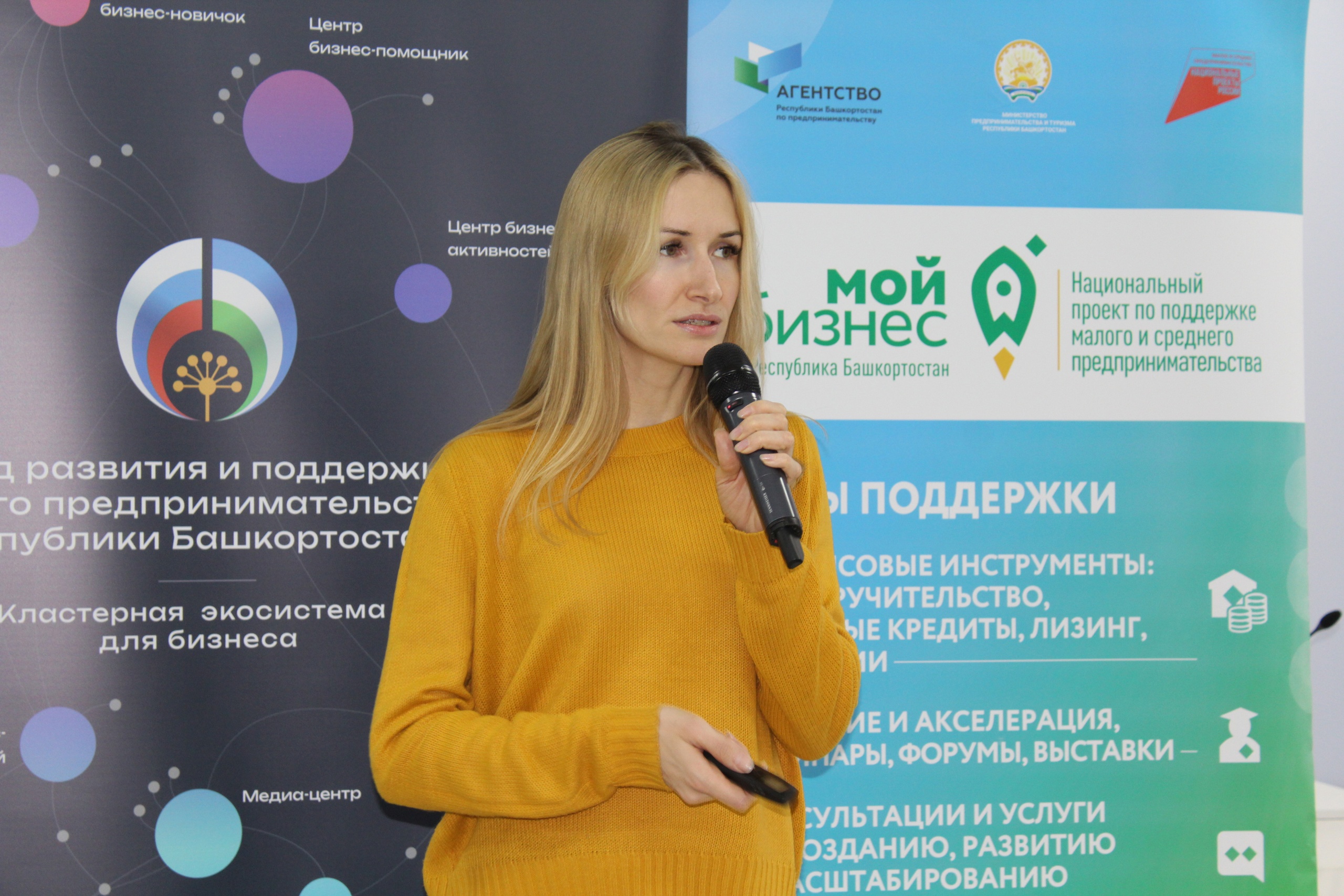 На 30% возросло количество оказанных Центром инноваций социальной сферы услуг предпринимателям Башкортостана-slide