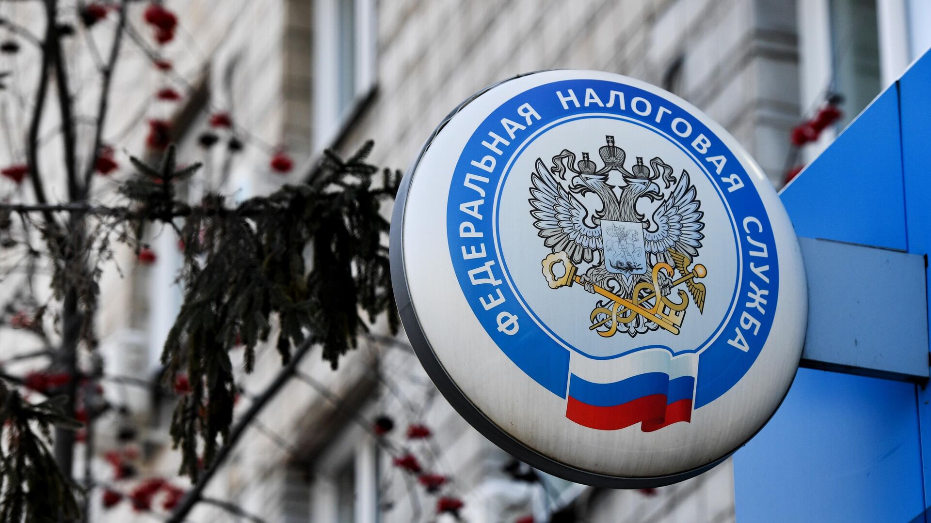 Имущественные налоги физического лица. Что нужно знать ИП?