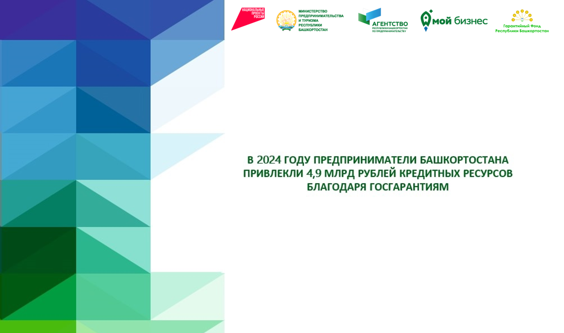 Предприниматели Башкортостана в 2024 году привлекли 4,9 млрд рублей кредитных ресурсов благодаря госгарантиям