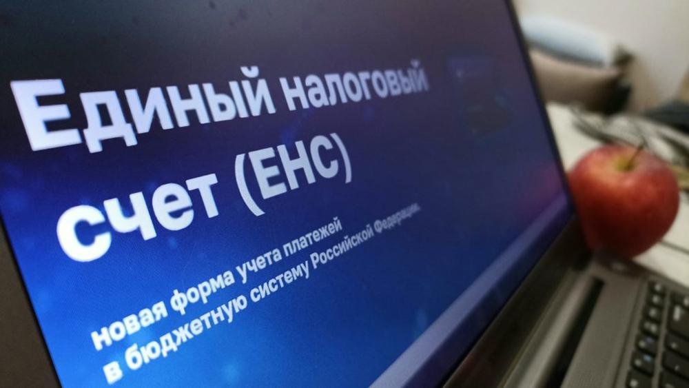 Что нужно учесть предпринимателю при уплате налогов на ЕНС
