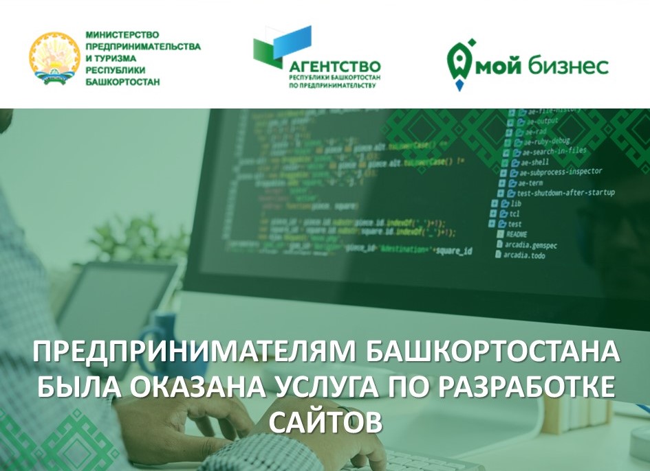 Предпринимателям Башкортостана была оказана услуга по разработке сайтов