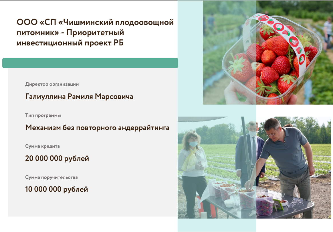 Сельскохозяйственное предприятие "Чишминский плодоовощной питомник"